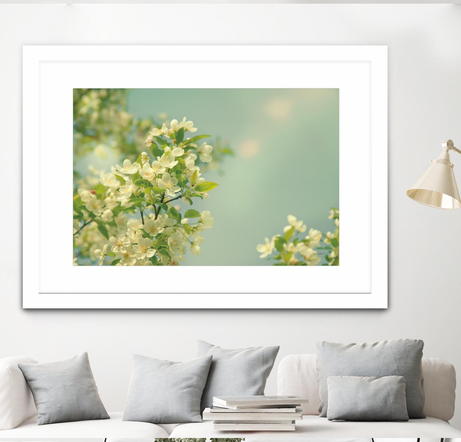 Spring Beauty I by Sue Schlabach on GIANT ART - white floral