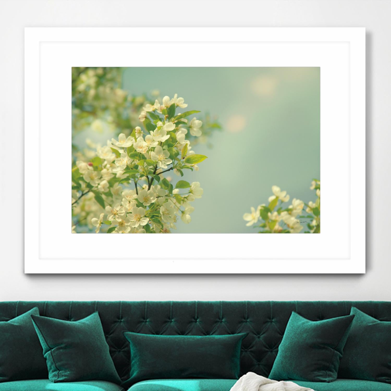 Spring Beauty I by Sue Schlabach on GIANT ART - white floral
