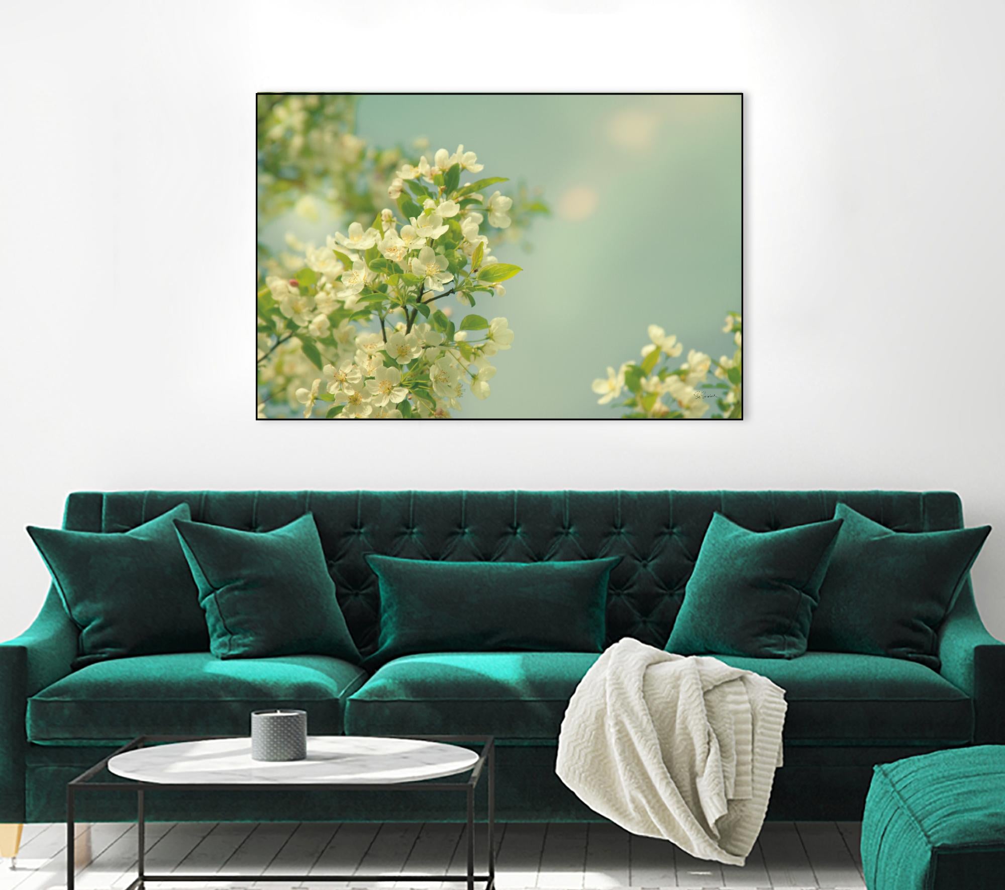 Spring Beauty I by Sue Schlabach on GIANT ART - white floral
