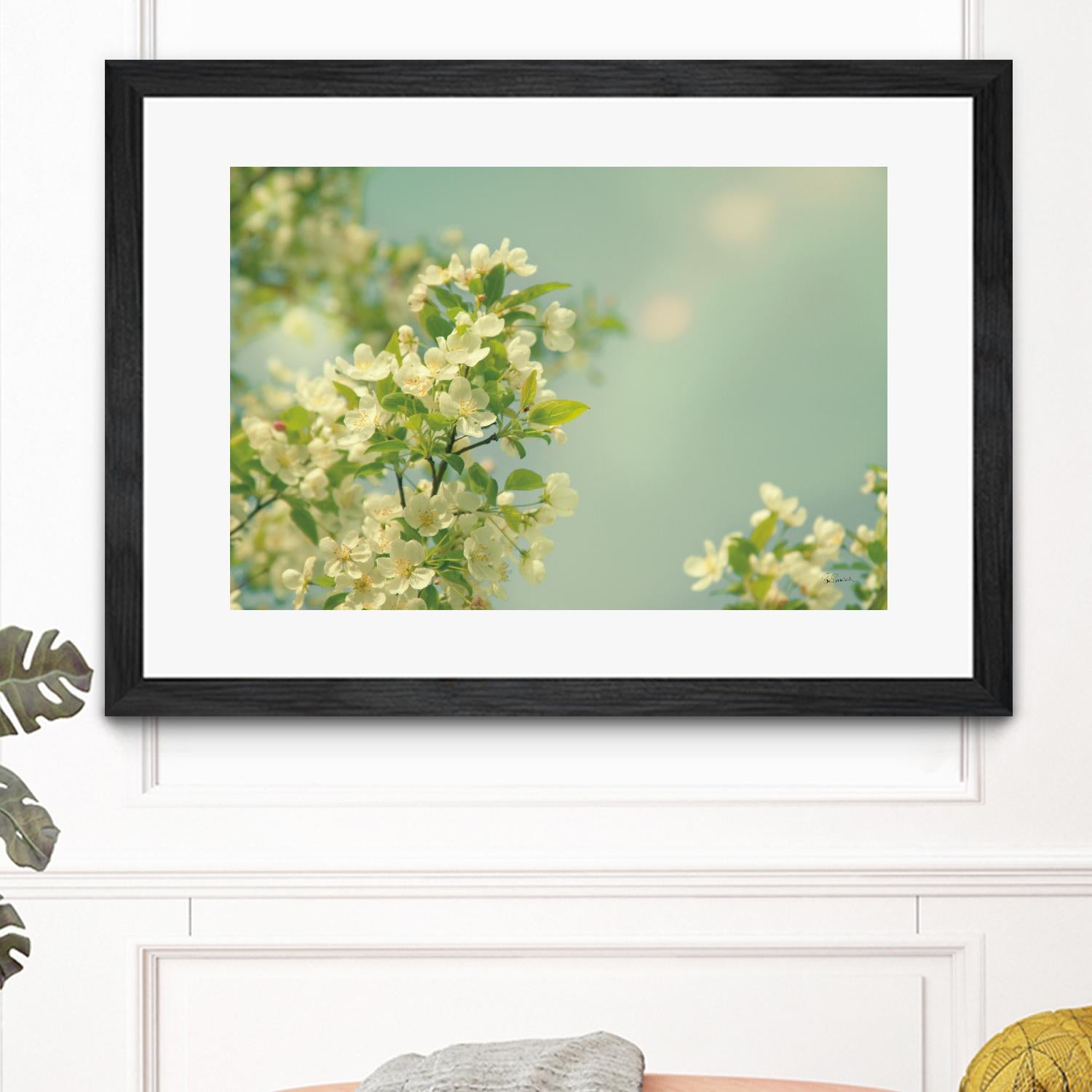 Spring Beauty I by Sue Schlabach on GIANT ART - white floral