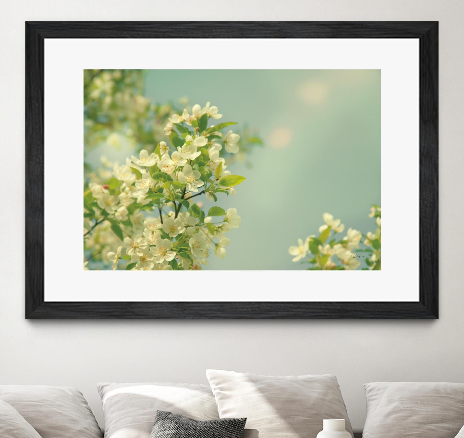 Spring Beauty I by Sue Schlabach on GIANT ART - white floral