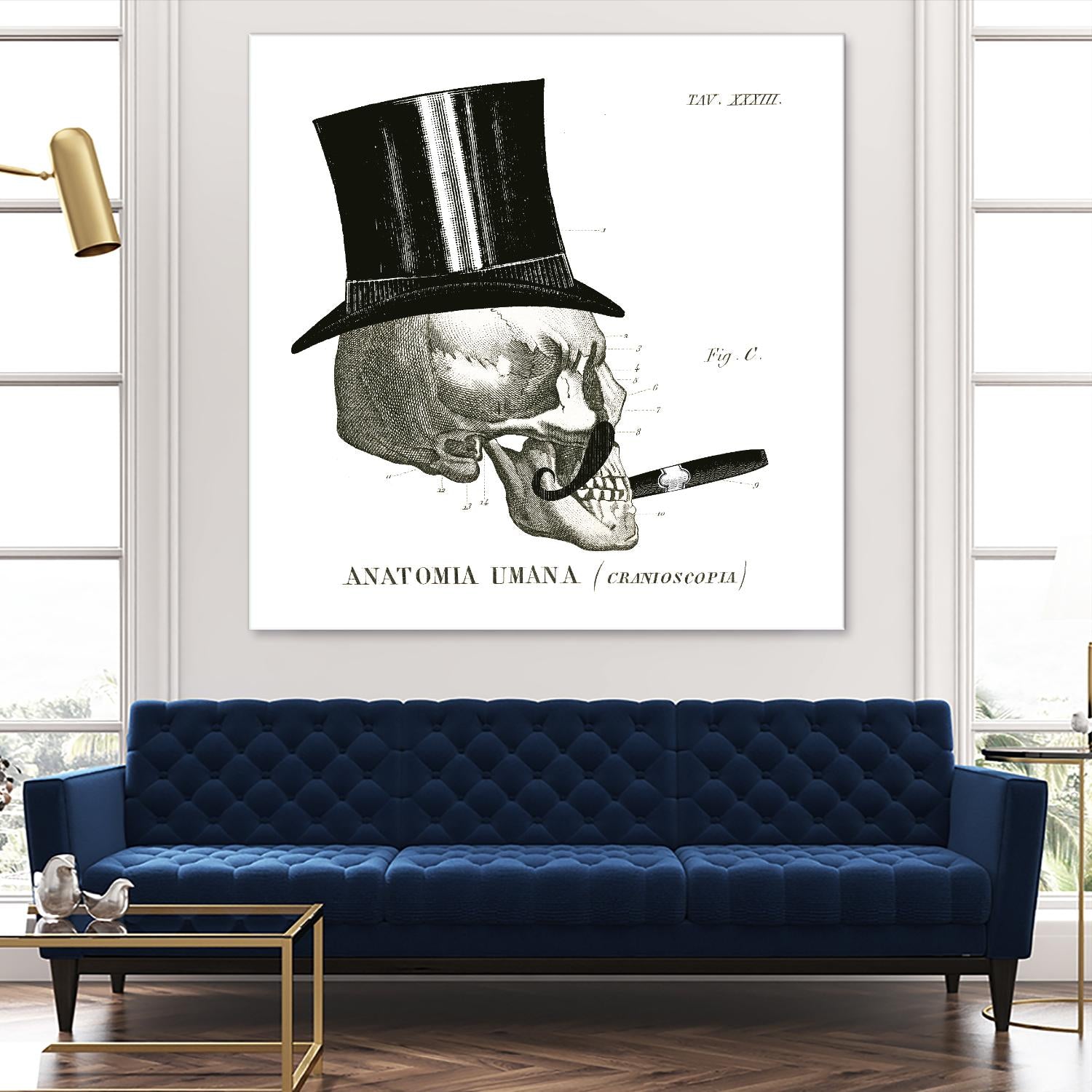 Dandy Bones III by Sue Schlabach on GIANT ART - white vintage