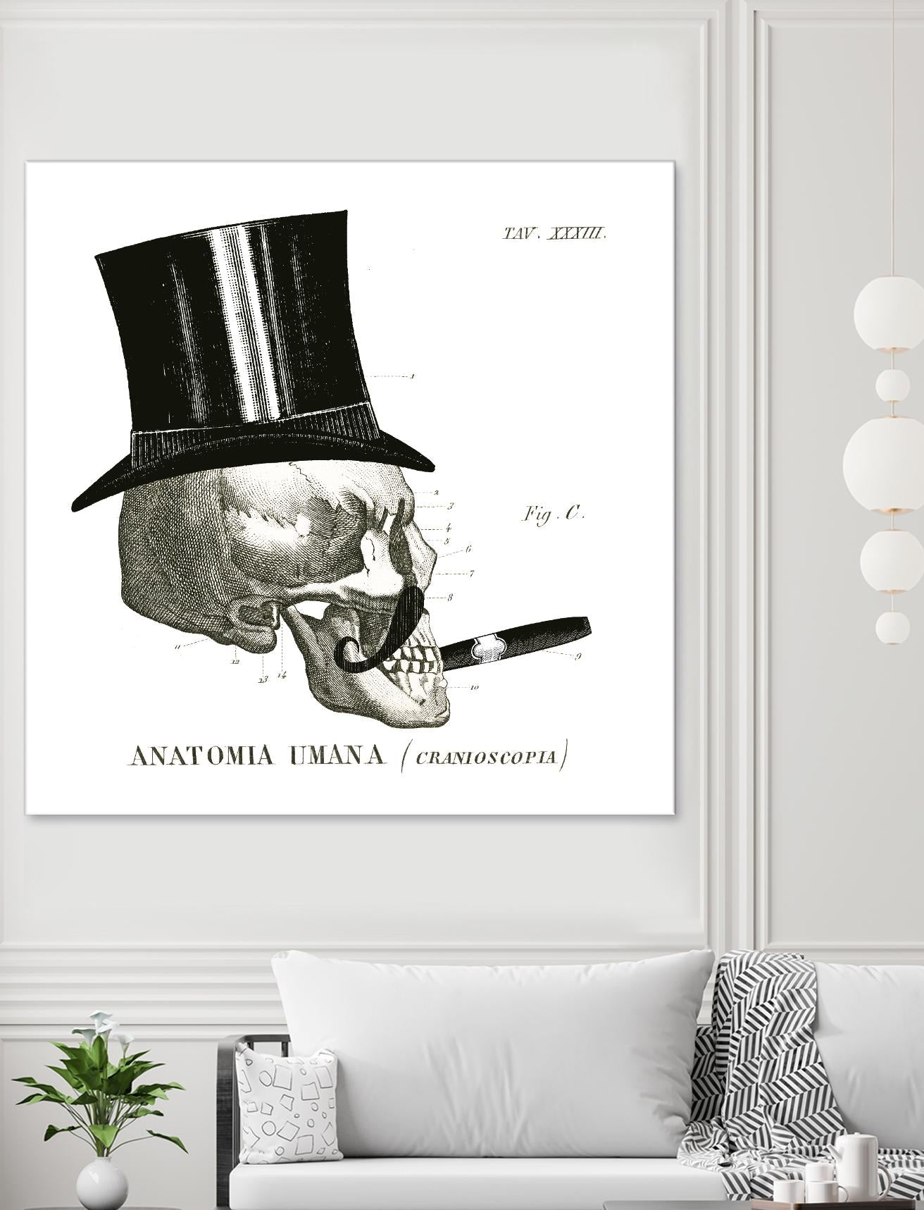 Dandy Bones III by Sue Schlabach on GIANT ART - white vintage