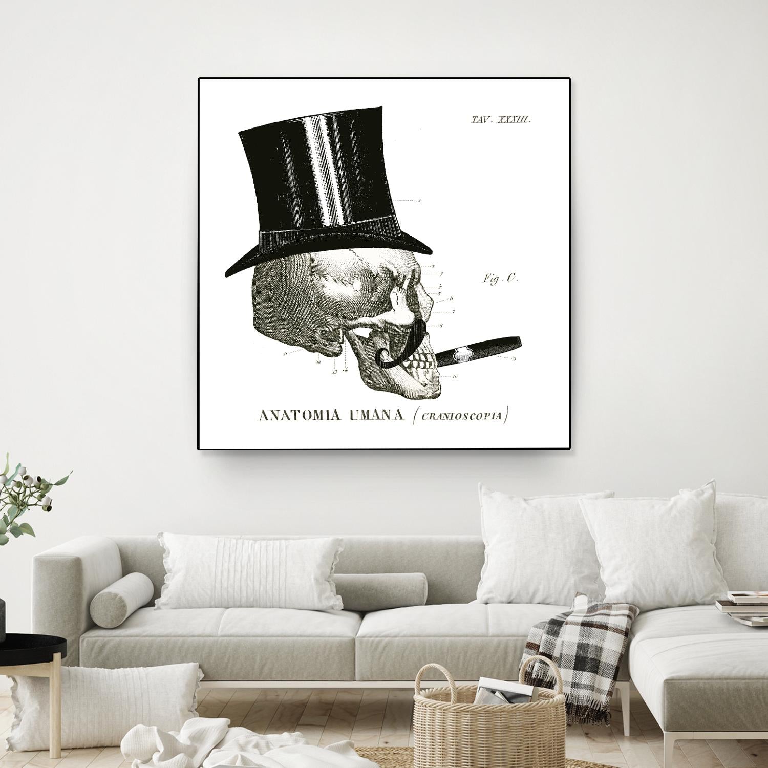 Dandy Bones III by Sue Schlabach on GIANT ART - white vintage