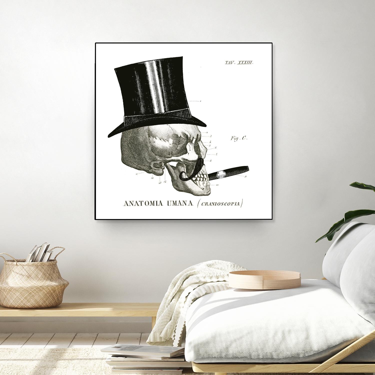 Dandy Bones III by Sue Schlabach on GIANT ART - white vintage