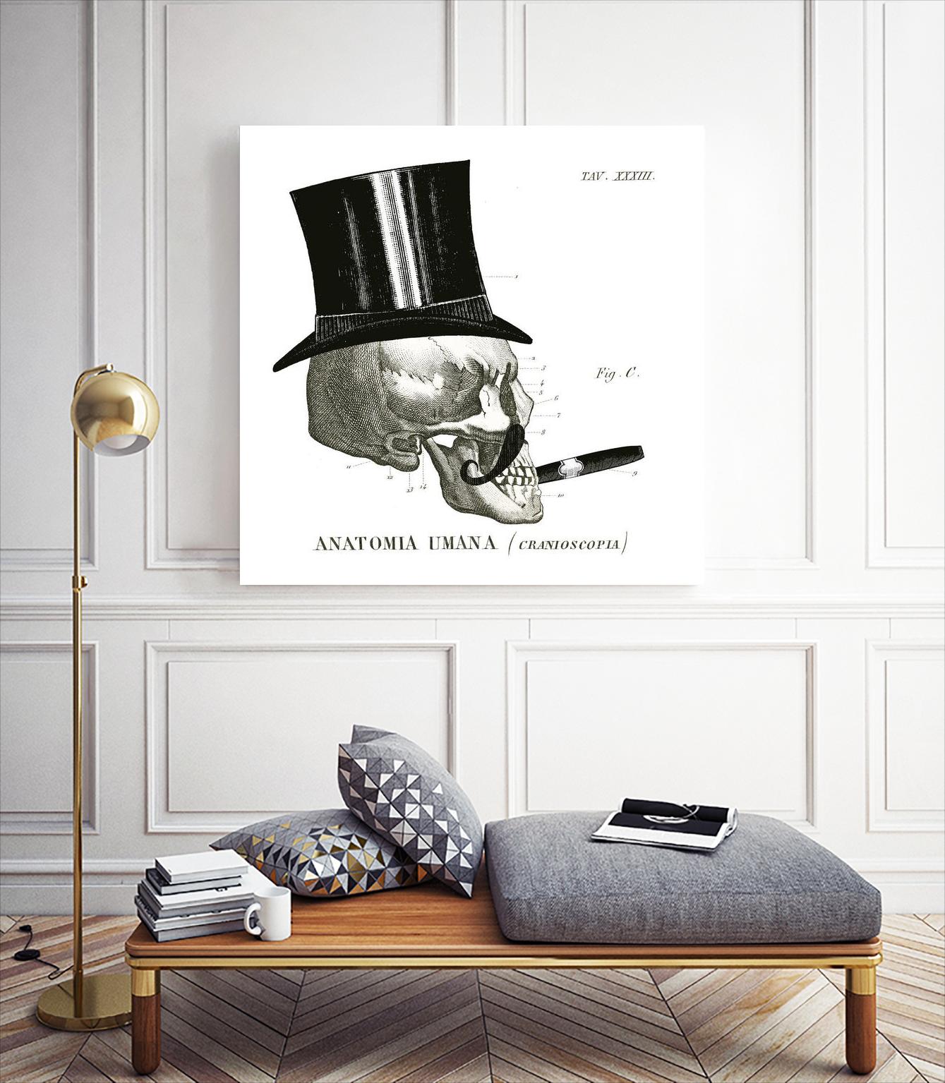 Dandy Bones III by Sue Schlabach on GIANT ART - white vintage