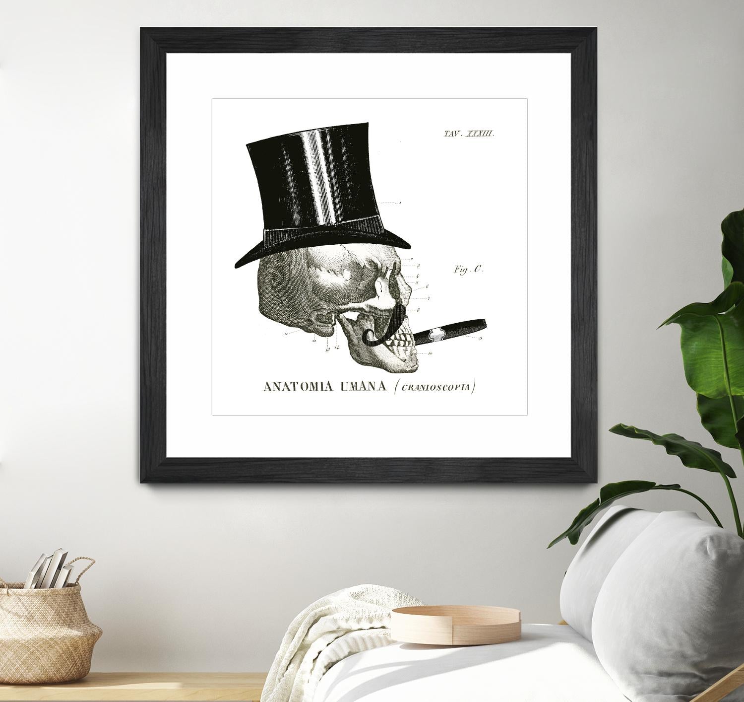 Dandy Bones III by Sue Schlabach on GIANT ART - white vintage