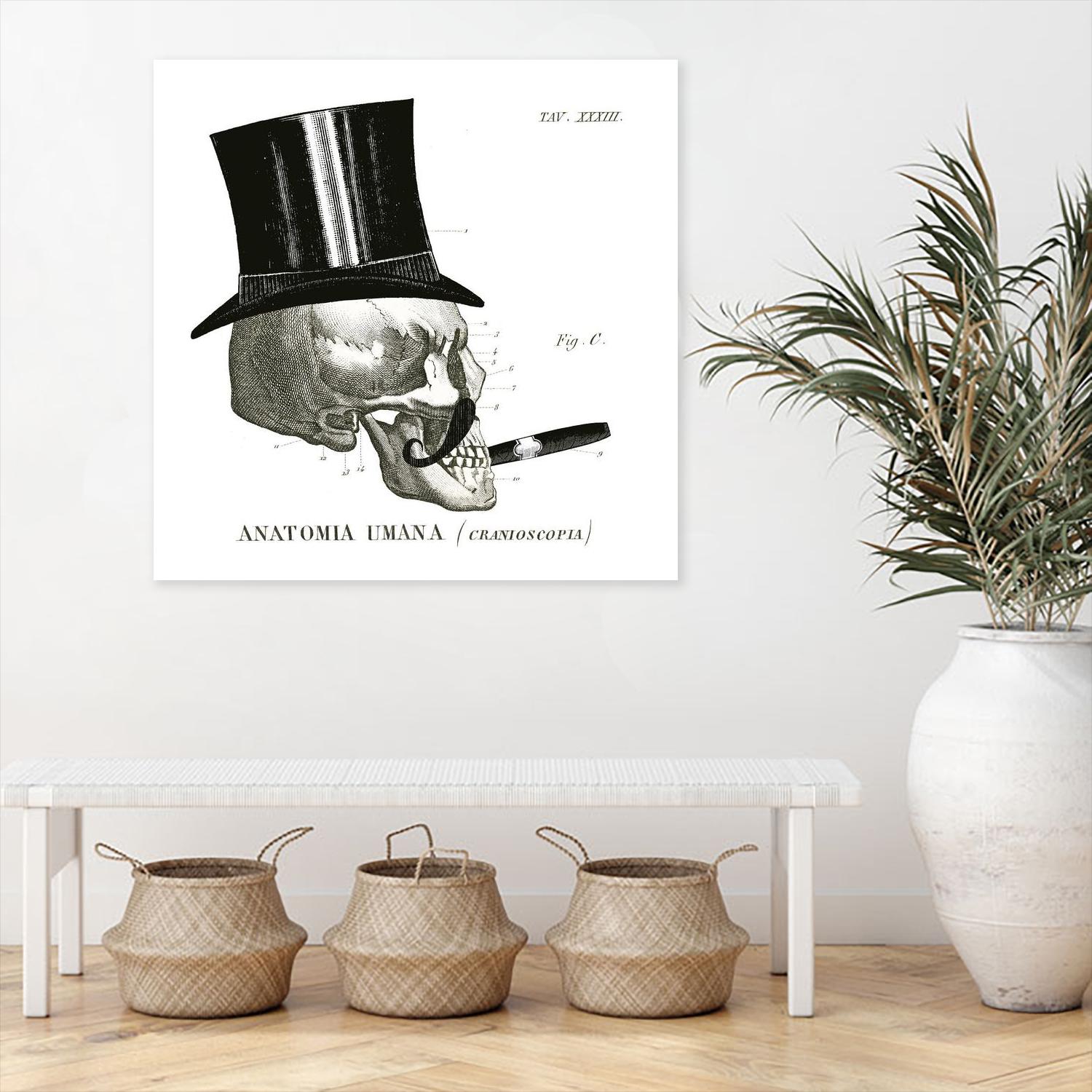 Dandy Bones III by Sue Schlabach on GIANT ART - white vintage