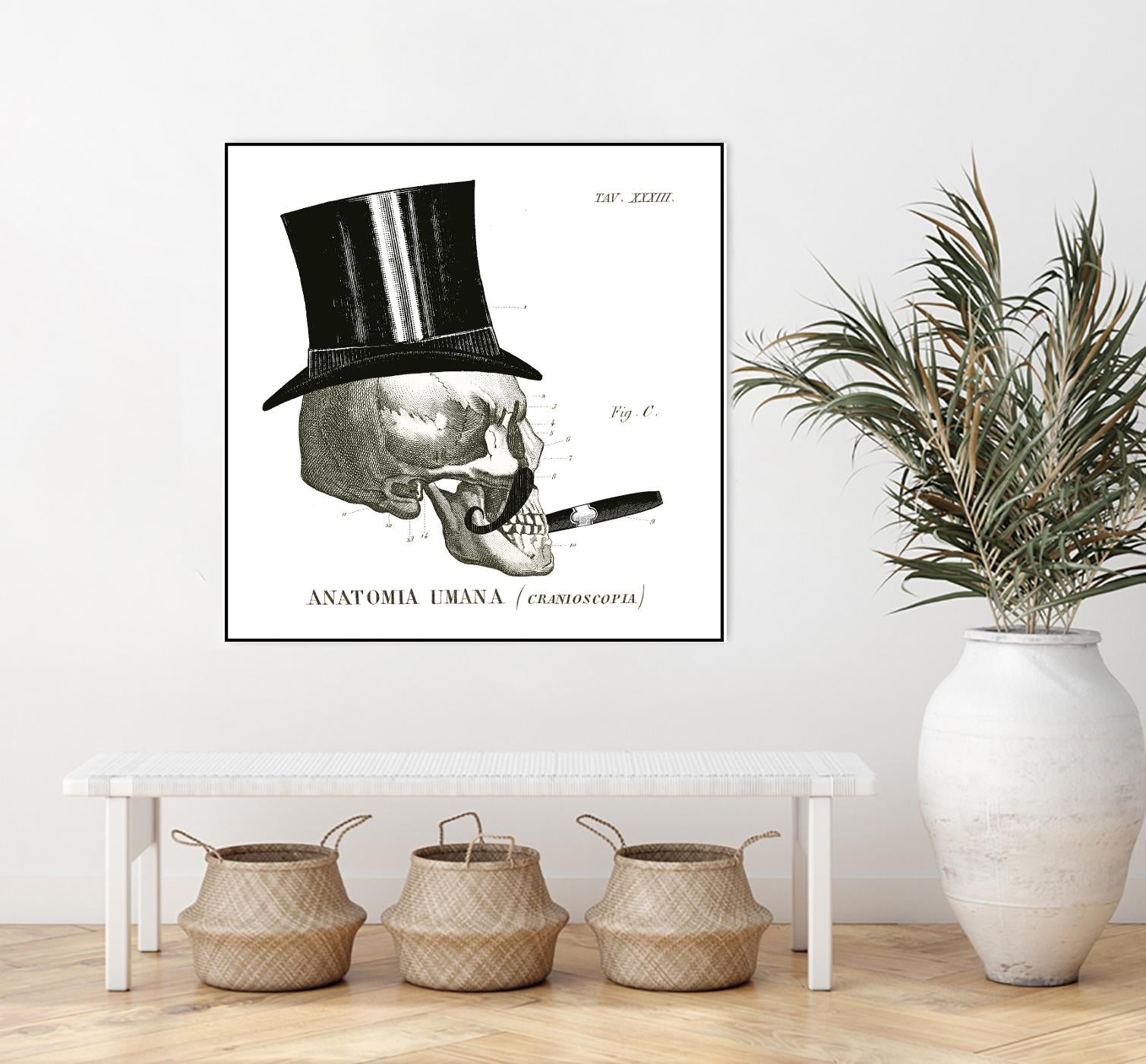 Dandy Bones III by Sue Schlabach on GIANT ART - white vintage