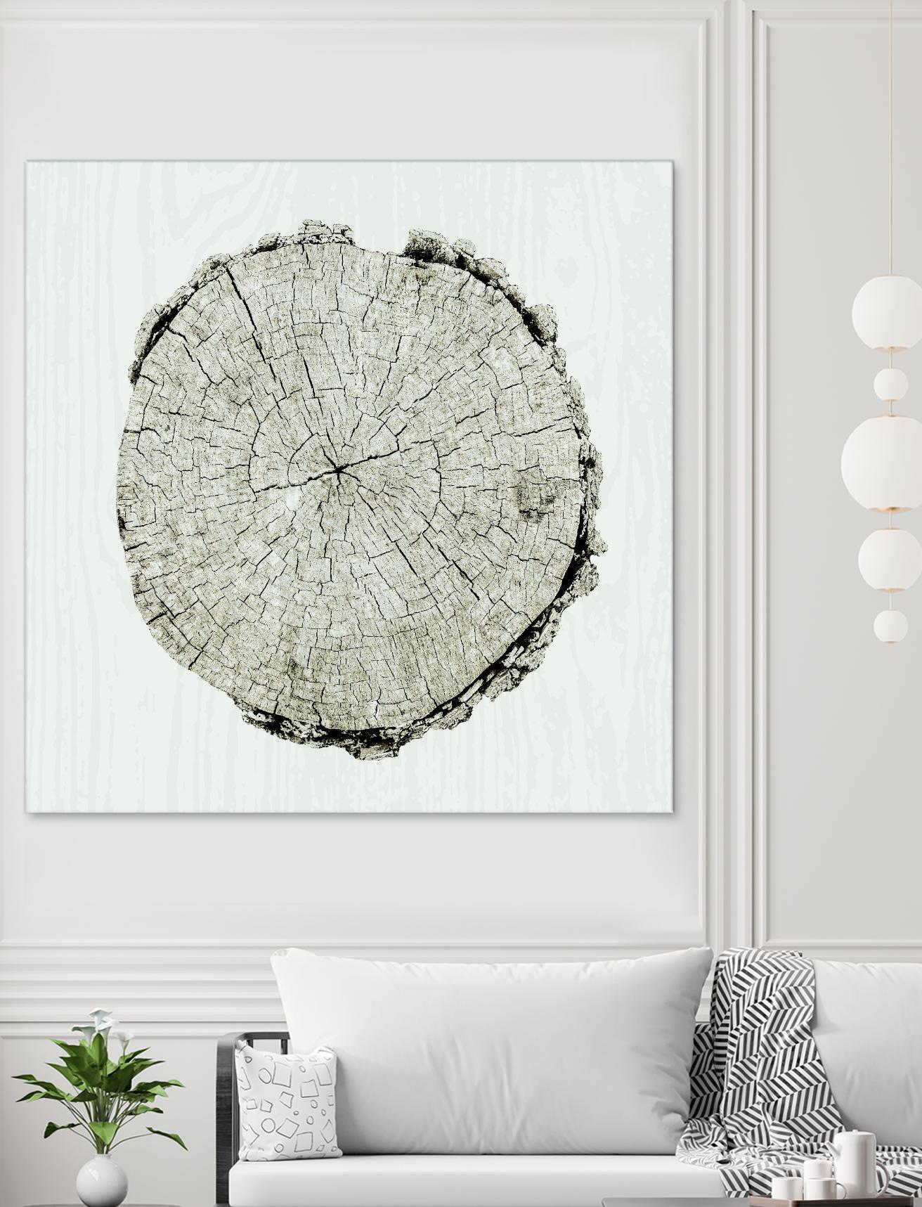 Woodland Years II by Sue Schlabach on GIANT ART - beige trees