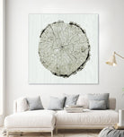 Woodland Years II by Sue Schlabach on GIANT ART - beige trees