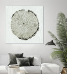 Woodland Years II by Sue Schlabach on GIANT ART - beige trees