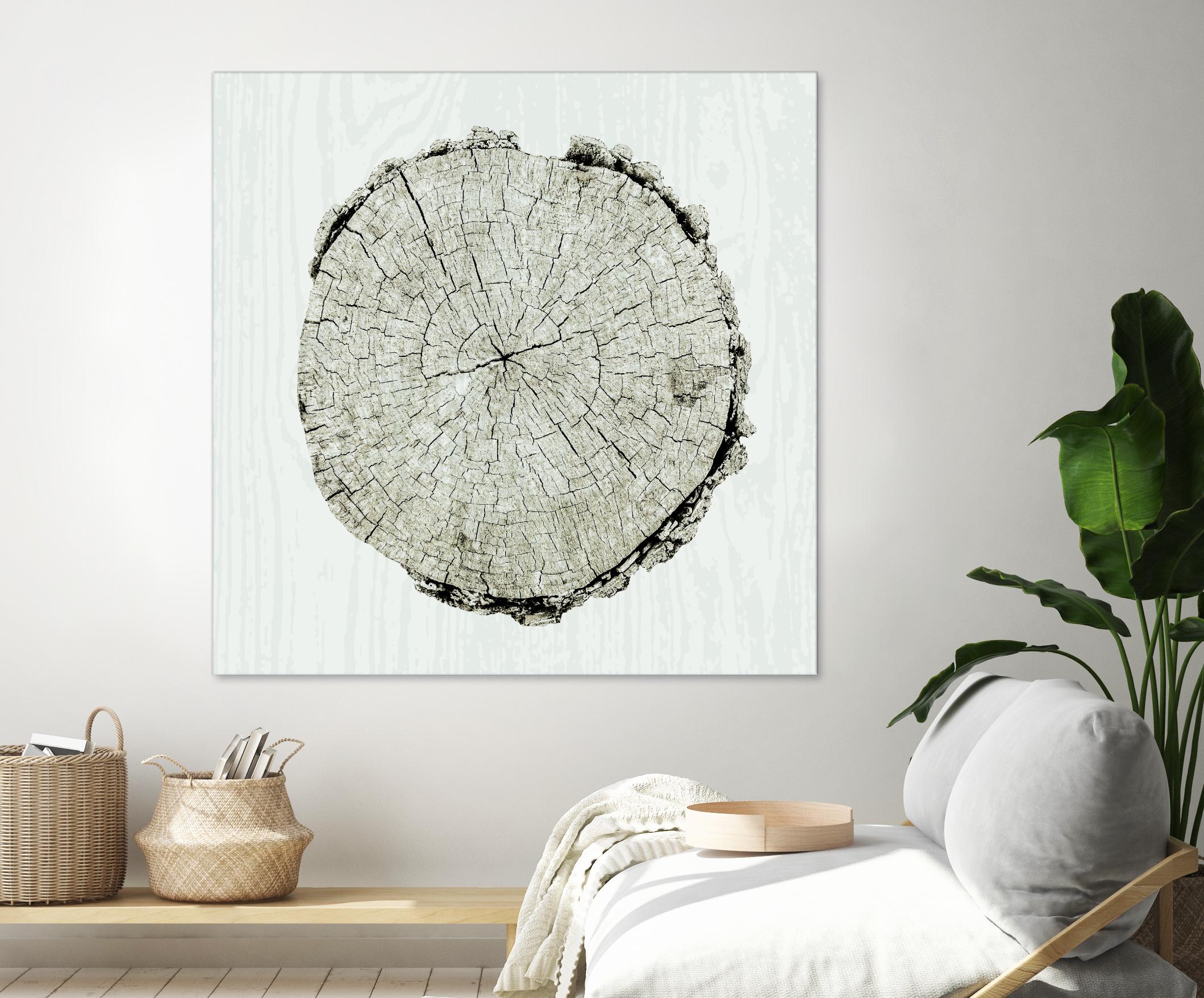 Woodland Years II by Sue Schlabach on GIANT ART - beige trees