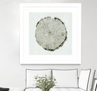 Woodland Years II by Sue Schlabach on GIANT ART - beige trees