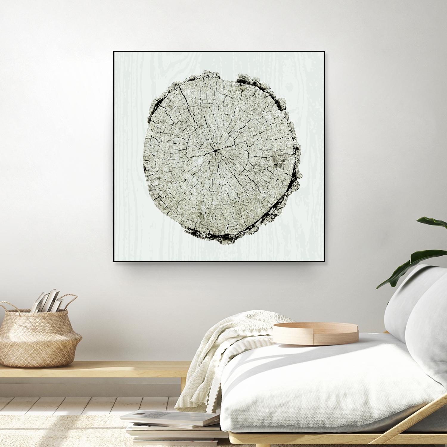 Woodland Years II by Sue Schlabach on GIANT ART - beige trees