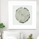 Woodland Years II by Sue Schlabach on GIANT ART - beige trees