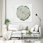 Woodland Years II by Sue Schlabach on GIANT ART - beige trees