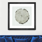 Woodland Years II by Sue Schlabach on GIANT ART - beige trees