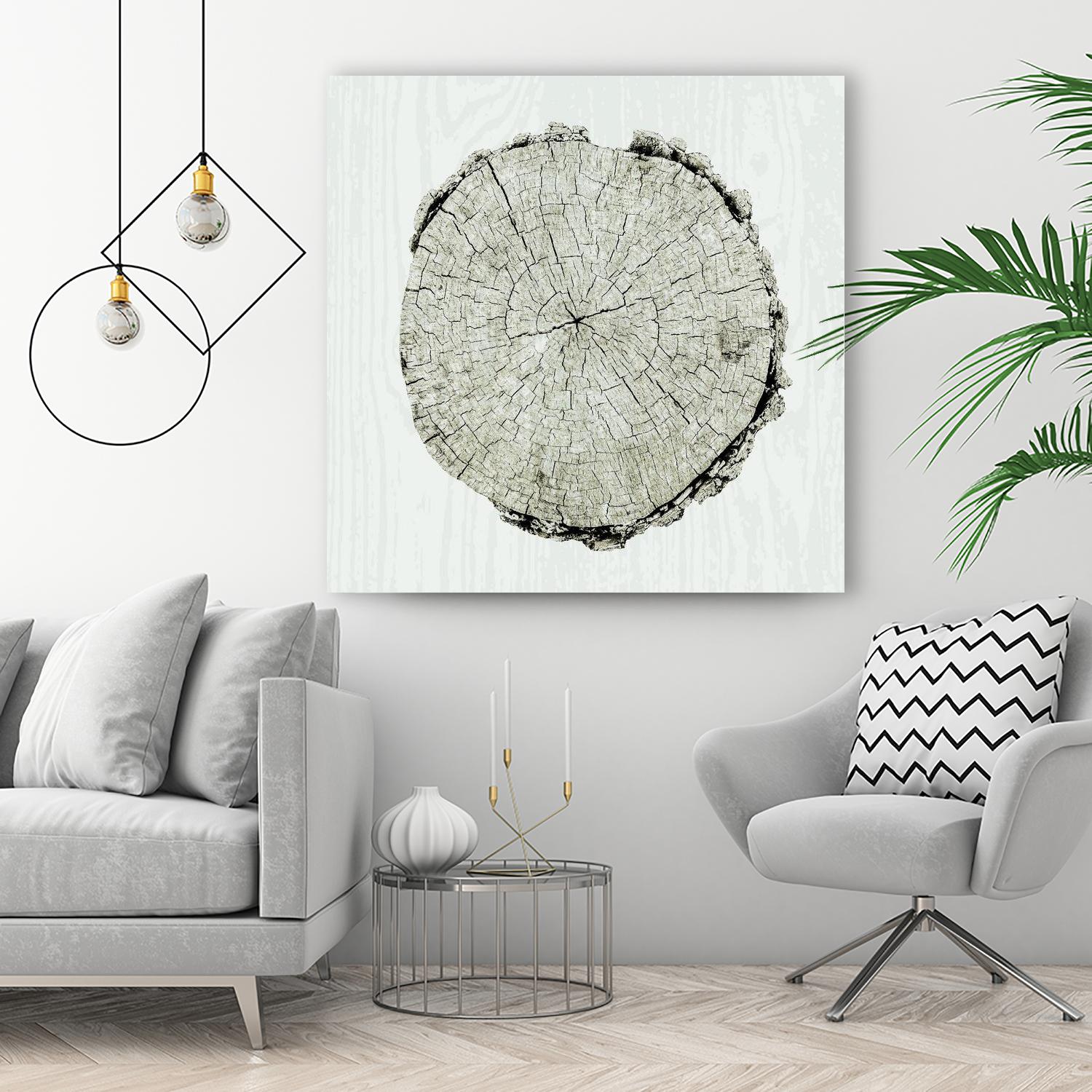 Woodland Years II by Sue Schlabach on GIANT ART - beige trees