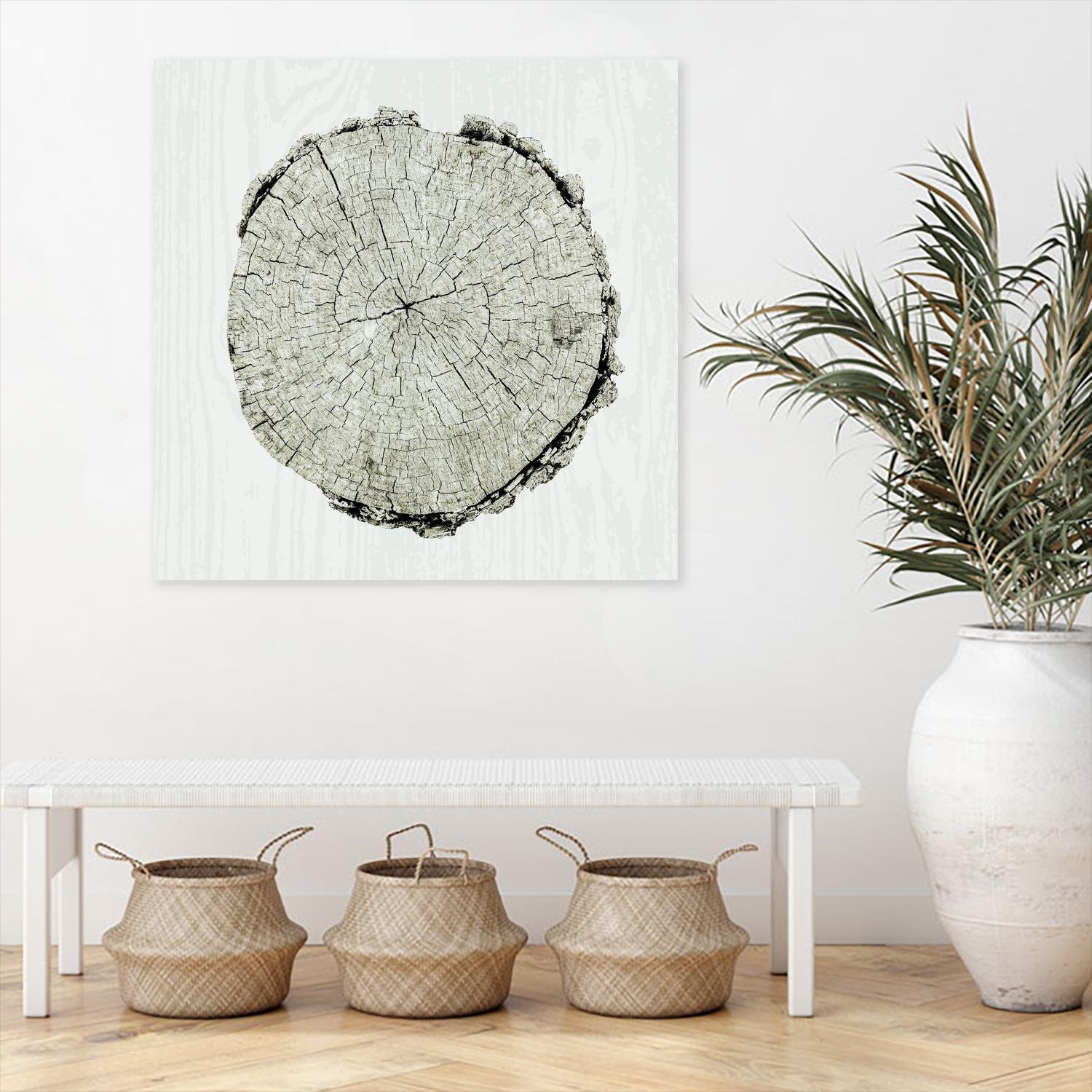 Woodland Years II by Sue Schlabach on GIANT ART - beige trees