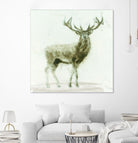 Stag 2 by James Wiens on GIANT ART - brown animals