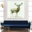 Stag 2 by James Wiens on GIANT ART - brown animals