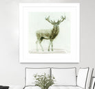 Stag 2 by James Wiens on GIANT ART - brown animals
