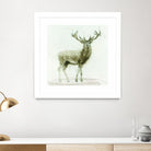 Stag 2 by James Wiens on GIANT ART - brown animals