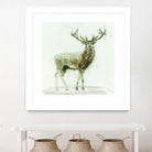 Stag 2 by James Wiens on GIANT ART - brown animals