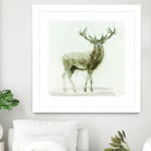 Stag 2 by James Wiens on GIANT ART - brown animals