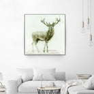 Stag 2 by James Wiens on GIANT ART - brown animals