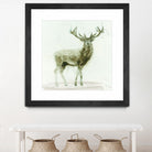 Stag 2 by James Wiens on GIANT ART - brown animals