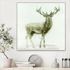 Stag 2 by James Wiens on GIANT ART - brown animals