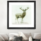 Stag 2 by James Wiens on GIANT ART - brown animals