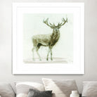 Stag 2 by James Wiens on GIANT ART - brown animals