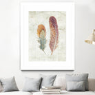 Natural Flora XI Bold Feathers by Danhui Nai on GIANT ART - beige contemporary