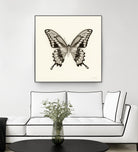 Butterfly VI BW Crop by Debra Van Swearingen on GIANT ART - beige animals
