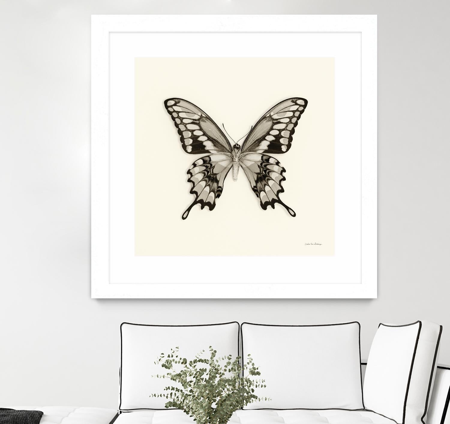 Butterfly VI BW Crop by Debra Van Swearingen on GIANT ART - beige animals