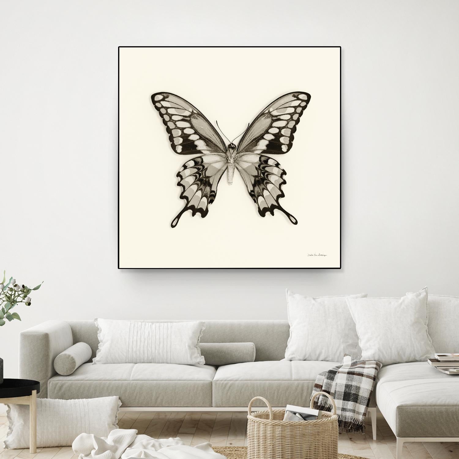 Butterfly VI BW Crop by Debra Van Swearingen on GIANT ART - beige animals
