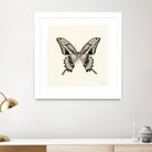 Butterfly VI BW Crop by Debra Van Swearingen on GIANT ART - beige animals