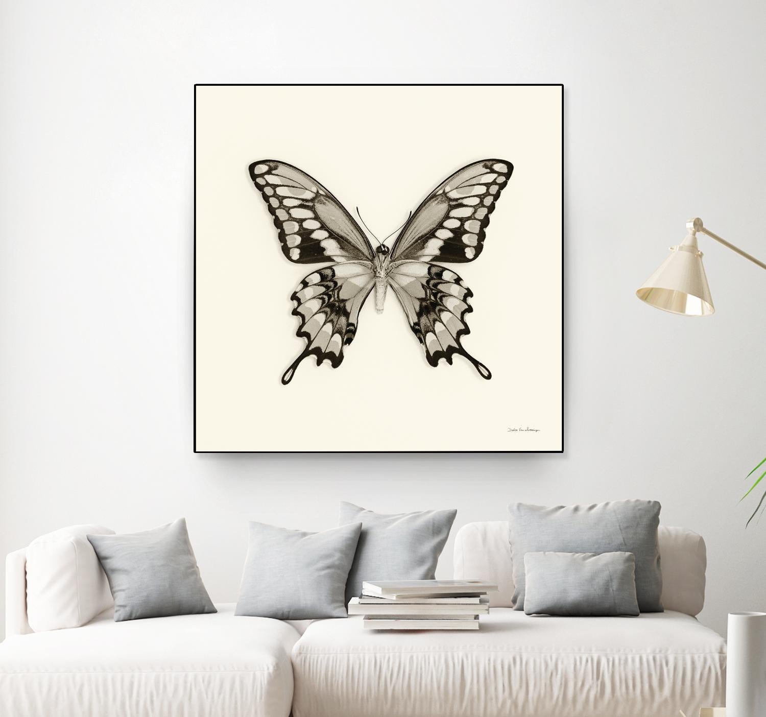 Butterfly VI BW Crop by Debra Van Swearingen on GIANT ART - beige animals