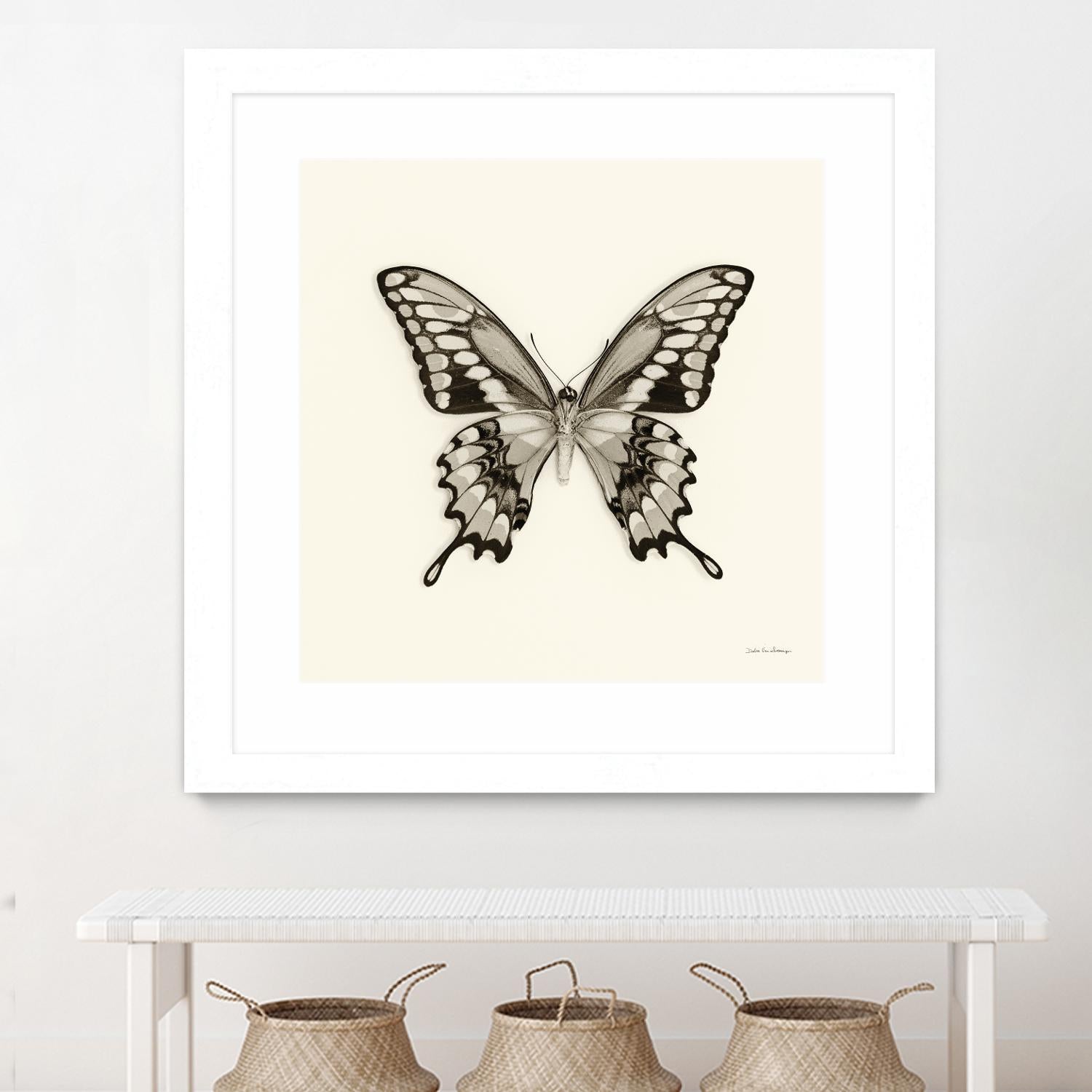 Butterfly VI BW Crop by Debra Van Swearingen on GIANT ART - beige animals