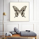 Butterfly VI BW Crop by Debra Van Swearingen on GIANT ART - beige animals