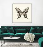 Butterfly VI BW Crop by Debra Van Swearingen on GIANT ART - beige animals