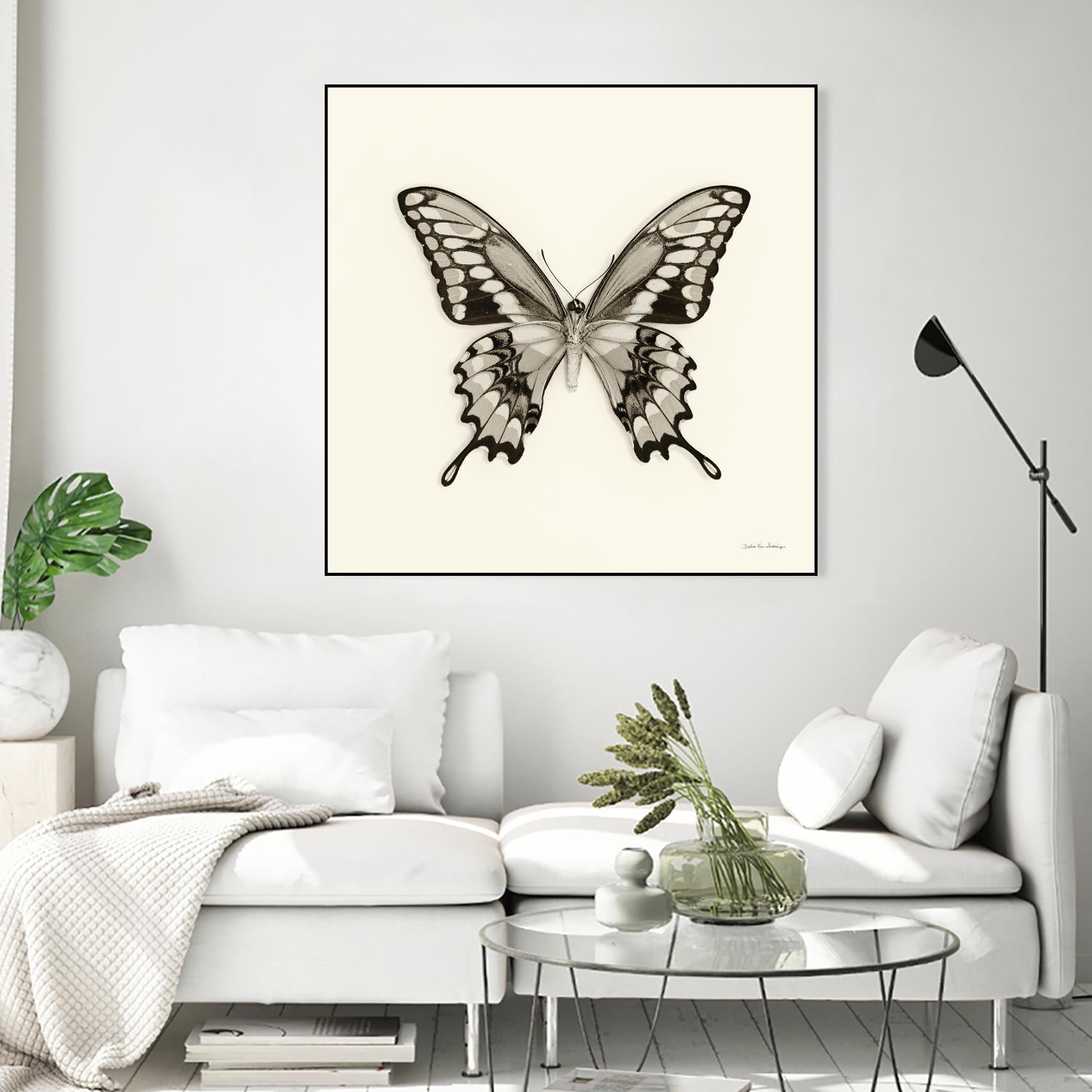 Butterfly VI BW Crop by Debra Van Swearingen on GIANT ART - beige animals