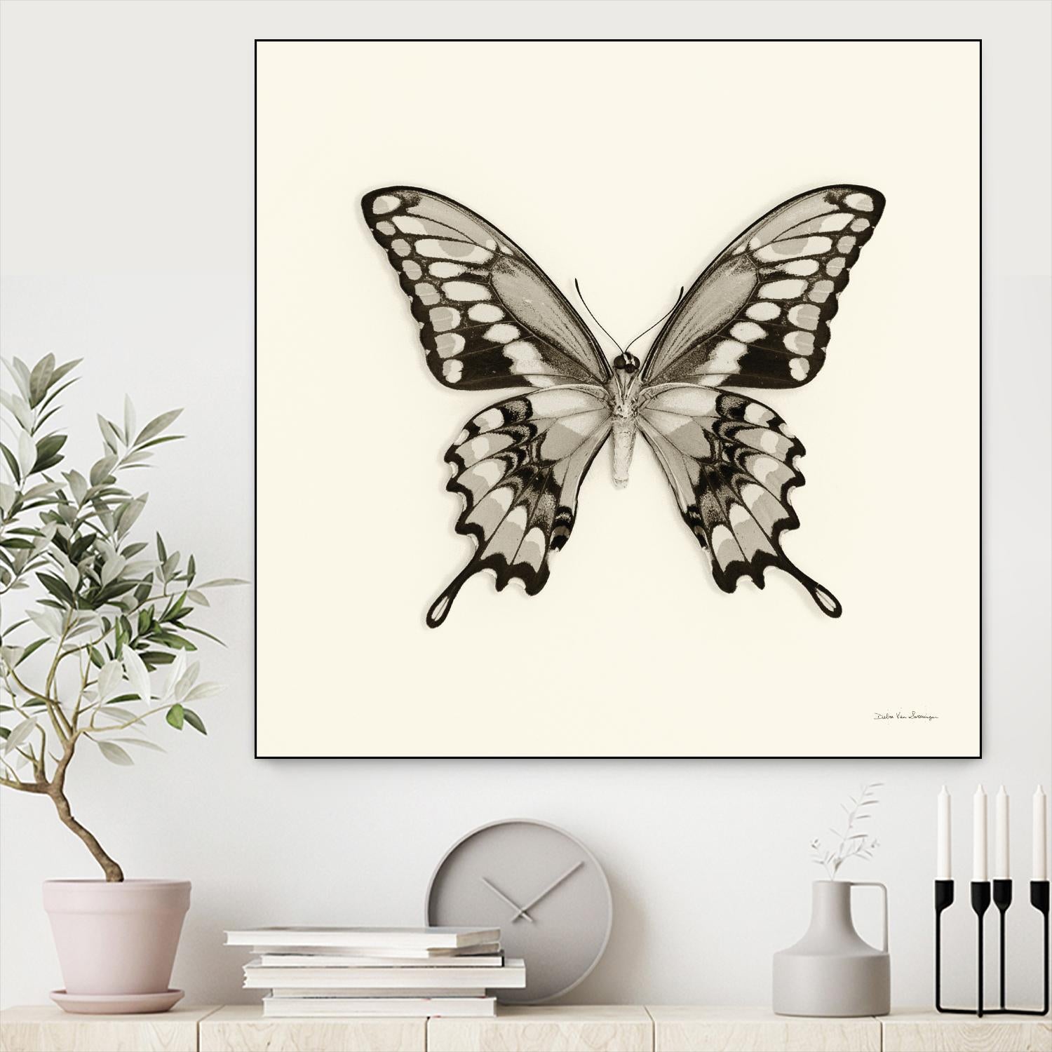 Butterfly VI BW Crop by Debra Van Swearingen on GIANT ART - beige animals