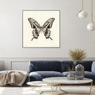 Butterfly VI BW Crop by Debra Van Swearingen on GIANT ART - beige animals