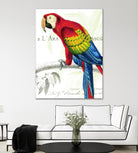 Parrot Botanique II by Portfolio on GIANT ART - blue tropical