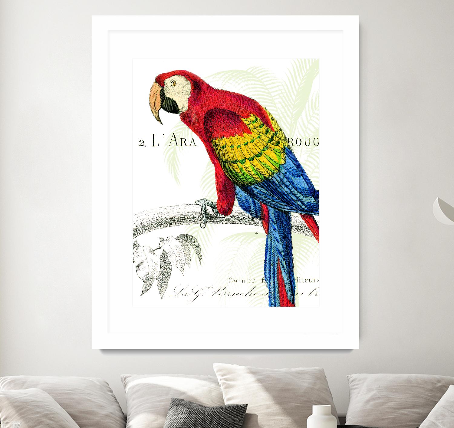 Parrot Botanique II by Portfolio on GIANT ART - red animal oiseau