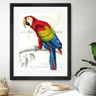 Parrot Botanique II by Portfolio on GIANT ART - red animal oiseau